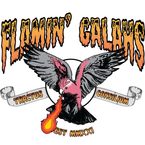 FLAMIN GALAHS #3 Thumbnail
